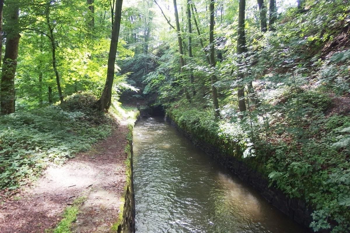 Cesta podél Weisshuhnova kanálu u Žimrovic nedaleko Hradce nad Moravicí