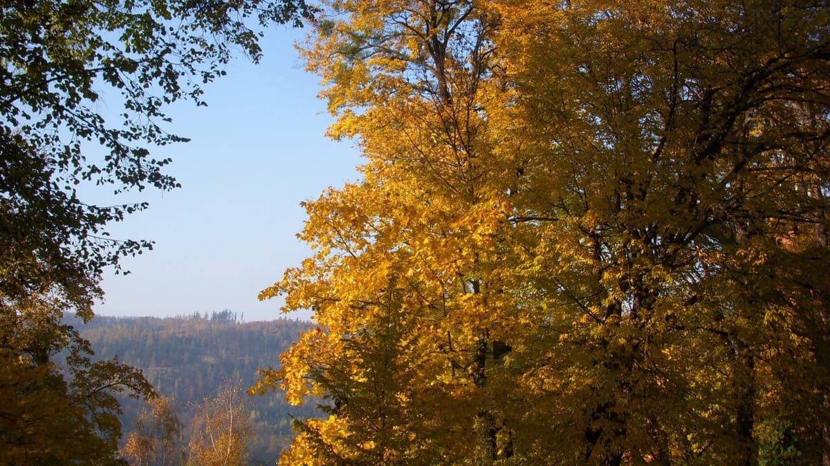 Podzimní výhled ze zámeckého kopce v Hradci nad Moravicí do údolí řeky Moravice